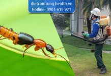 Ưu điểm từ các công ty diệt kiến ba khoang chuyên nghiệp công ty diệt kiến ba khoang